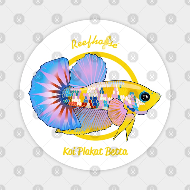 Koi Plakat Betta Magnet by Reefhorse